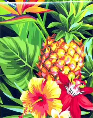 Рисование по номерам (30х40 см). Сочный ананас (RL071) обложка книги