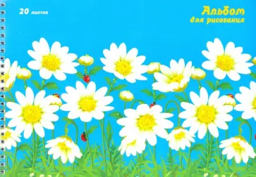 Альбом для рисования (20 листов, А4, гребень), Ромашковое поле (АС202032) обложка книги