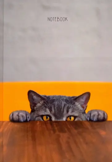 Книга для записей (80 листов, А5), Прятки (КЗ5803050) обложка книги