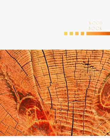Тетрадь 80 листов "Древесная текстура" (ТК807054) обложка книги