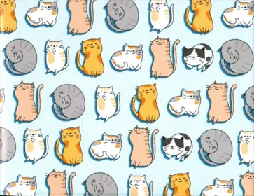 Обложка для студенческого "Котики"/ голубой фон обложка книги