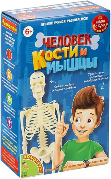 Японские опыты Человек. Кости и мышцы (ВВ4728) обложка книги