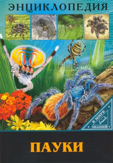 Мария Куруськина - Энциклопедия. Пауки Мария Куруськина - Энциклопедия. Пауки обложка книги