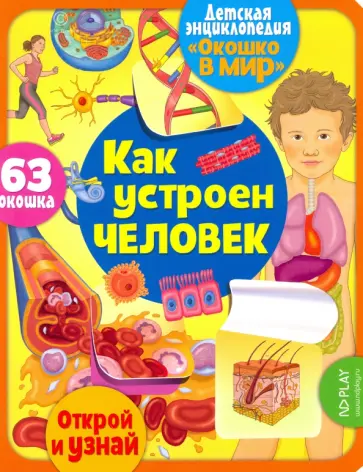 Элеонора Барсотти - Окошко в мир. Как устроен человек Элеонора Барсотти - Окошко в мир. Как устроен человек обложка книги