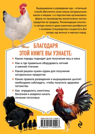 Разведение кур как бизнес