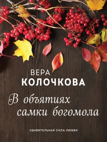 Вера Колочкова - В объятиях самки богомола обложка книги