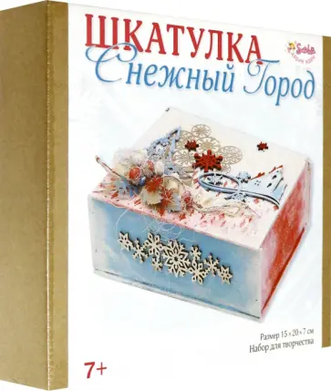 Шкатулка Снежный город (3139) обложка книги