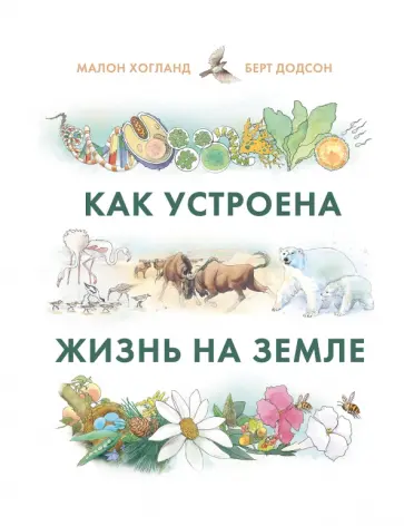 Малон Хогланд - Как устроена жизнь на Земле обложка книги