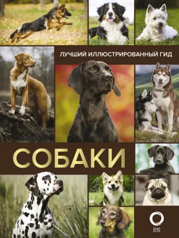 Вайткене, Филиппова - Собаки. Лучший иллюстрированный гид Вайткене, Филиппова - Собаки. Лучший иллюстрированный гид обложка книги