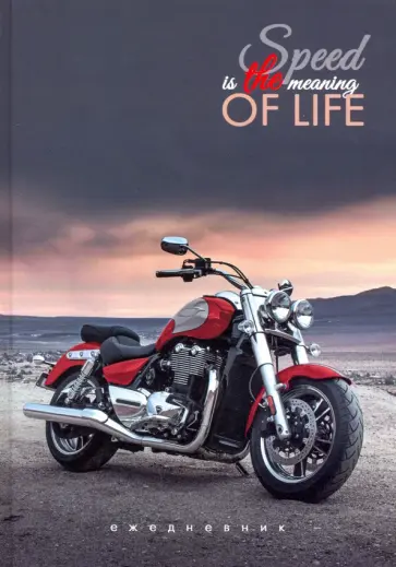 Ежедневник недатированный 128 листов, А5, Скорость (С1375-88) обложка книги