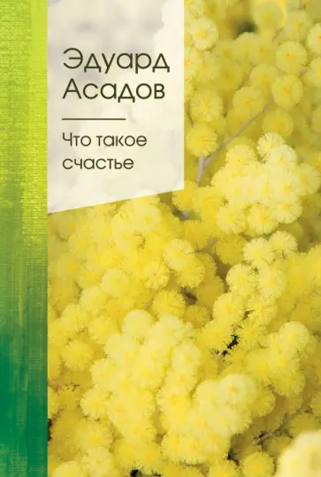 Эдуард Асадов - Что такое счастье Эдуард Асадов - Что такое счастье обложка книги