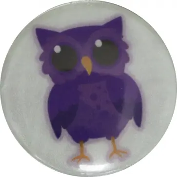 Значок светоотражающий "Сова" обложка книги