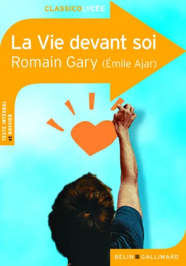 Romain Gary - La Vie devant soi обложка книги
