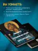 Миниатюра 5
