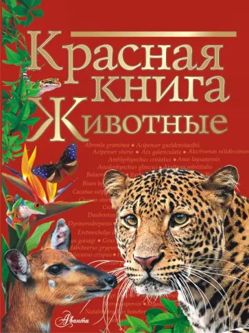 Молюков, Новичонок - Красная книга. Животные Молюков, Новичонок - Красная книга. Животные обложка книги