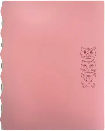 Папка для документов А4 пластиковая Коты (53483) обложка книги
