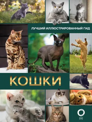 Николай Непомнящий - Кошки. Лучший иллюстрированный гид Николай Непомнящий - Кошки. Лучший иллюстрированный гид обложка книги