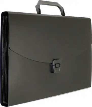 Портфель для документов, 13 отделений, A4, черный (BPP13BLCK) обложка книги