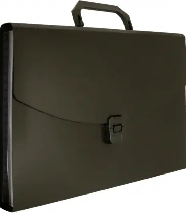 Портфель 6 отделений A4 пластиковый 0.7 мм черный (BPP6BLCK) Портфель 6 отделений A4 пластиковый 0.7 мм черный (BPP6BLCK) обложка книги