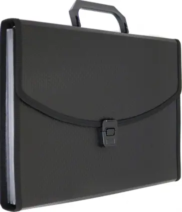 Портфель для документов, 6 отделений, A4, черный (BPP6TLBLCK) обложка книги