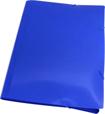Портфель 6 отделений A4 пластиковй 0.7 мм синий (BPR6BLUE) Портфель 6 отделений A4 пластиковй 0.7 мм синий (BPR6BLUE) обложка книги