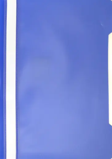 Папка-скоросшиватель для документов, A4, синяя (PS20BLUE) Папка-скоросшиватель для документов, A4, синяя (PS20BLUE) обложка книги