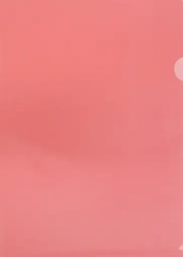 Папка-уголок A4 пластик красный (E100RED) обложка книги