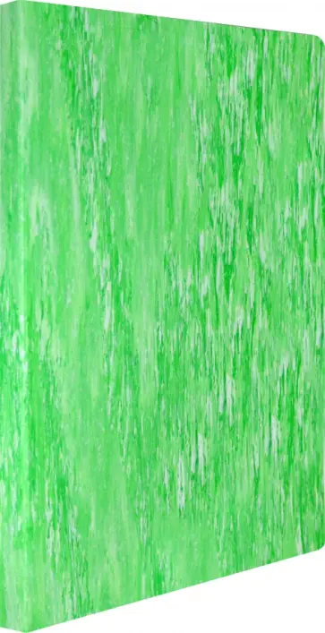 Папка с металлическим зажимом (A4, пластиковая, салатовая), (MLPZ07CLETT) Папка с металлическим зажимом (A4, пластиковая, салатовая), (MLPZ07CLETT) обложка книги