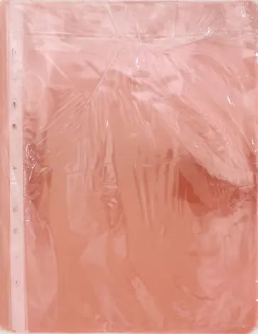 Папка-вкладыш А4+ 30 мкм, 50 штук красный (013RED) Папка-вкладыш А4+ 30 мкм, 50 штук красный (013RED) обложка книги