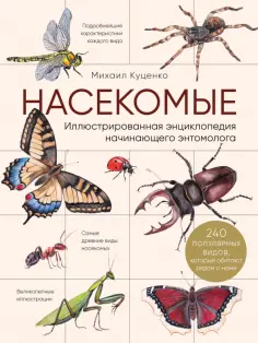 Михаил Куценко - Насекомые. Иллюстрированная энциклопедия начинающего энтомолога. 240 популярных видов обложка книги