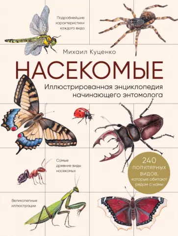 Михаил Куценко - Насекомые. Иллюстрированная энциклопедия начинающего энтомолога. 240 популярных видов Михаил Куценко - Насекомые. Иллюстрированная энциклопедия начинающего энтомолога. 240 популярных видов обложка книги
