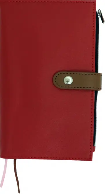 Ежедневник-органайзер (красный) обложка книги