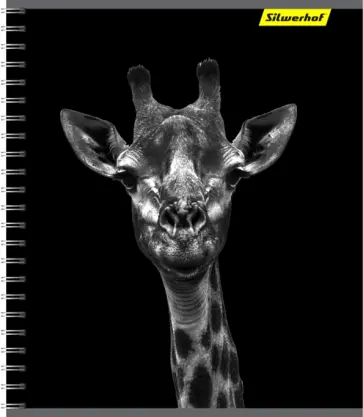 Тетрадь (96 листов, А5, гребень), Животные, 4 вида (811395-85) обложка книги