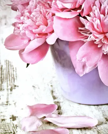 Тетрадь на кольцах (120 листов, А5, клетка), Романтика (819029) обложка книги