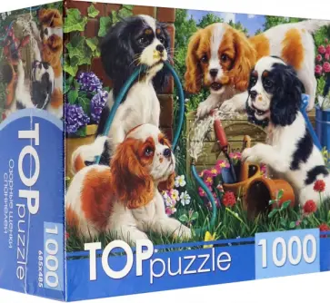 Puzzle-1000 Озорные щенки спаниелей (ХТП1000-2159) обложка книги