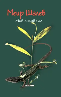 Мой дикий сад Мой дикий сад