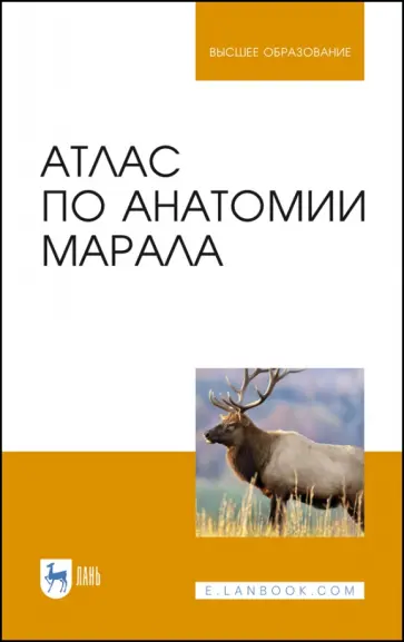 Малофеев, Рядинская - Атлас по анатомии марала. Учебное пособие обложка книги