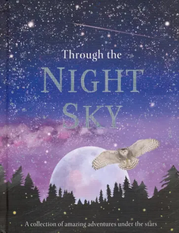 Anita Ganeri - Through the Night Sky обложка книги
