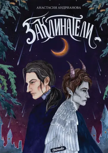 Анастасия Андрианова - Заклинатели обложка книги