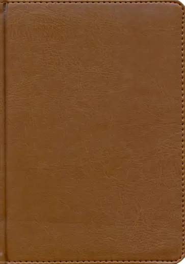 Ежедневник недатированный А5 Joy коричневый, золотой обрез (24606/14) обложка книги