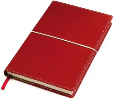 Бизнес-блокнот А5 "BUSINESS" красный (21207/08) обложка книги