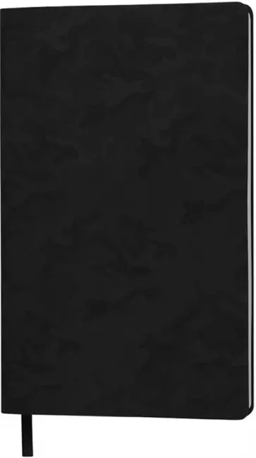 Бизнес-блокнот Tabby Franky черный (21226/35) обложка книги