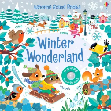 Winter Wonderland обложка книги