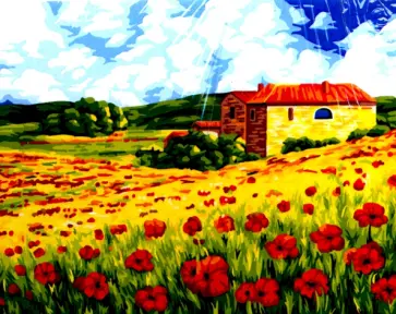 Рисование по номерам "Поляна маков", 40х50 см. (А091) обложка книги