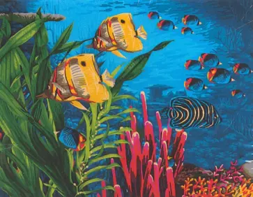 Рисование по номерам "В коралловых рифах", 40х50 см. (Н104) обложка книги