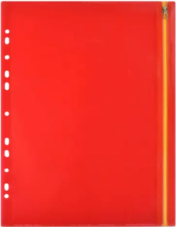 Папка для документов пластиковая, А4, 1 отделение, оранжевая (48205) обложка книги