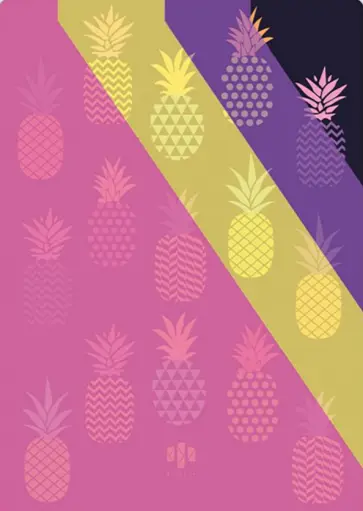 Папка-уголок для документов "Ананасы" (пластик, А4) (49657) обложка книги