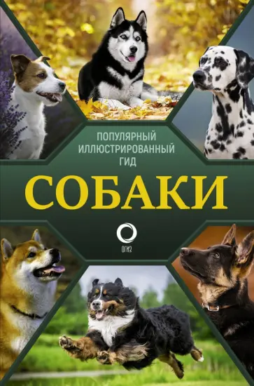 Хомич, Вайткене - Собаки. Популярный иллюстрированный гид Хомич, Вайткене - Собаки. Популярный иллюстрированный гид обложка книги