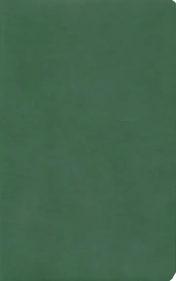 Бизнес-блокнот "Audrey" зеленый (21222/15) обложка книги