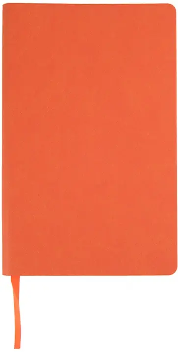 Бизнес-блокнот "Audrey" оранжевый (21222/05) обложка книги